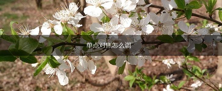单点对焦怎么调,第1张
