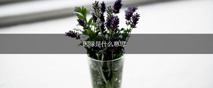 因缘是什么意思,第1张