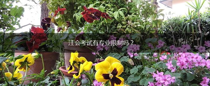 注会考试有专业限制吗？,第1张