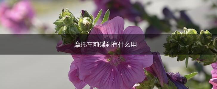 摩托车前碟刹有什么用,第1张