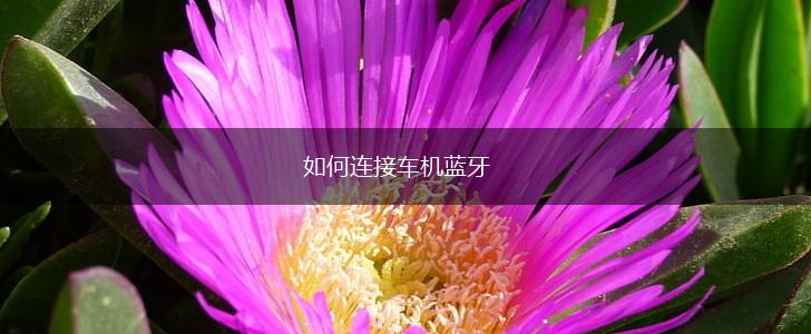 如何连接车机蓝牙,第1张