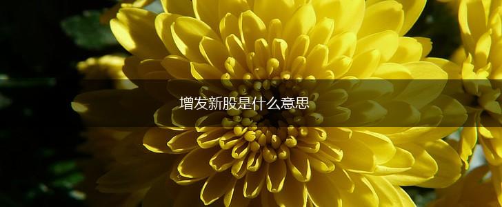 增发新股是什么意思,第1张