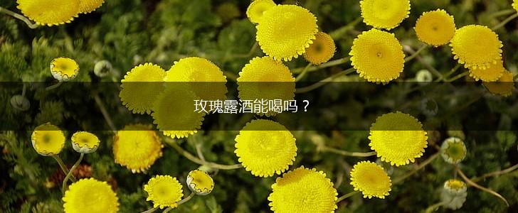 玫瑰露酒能喝吗？,第1张