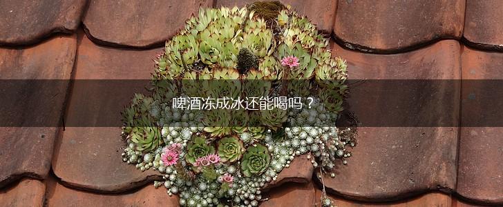 啤酒冻成冰还能喝吗？,第1张