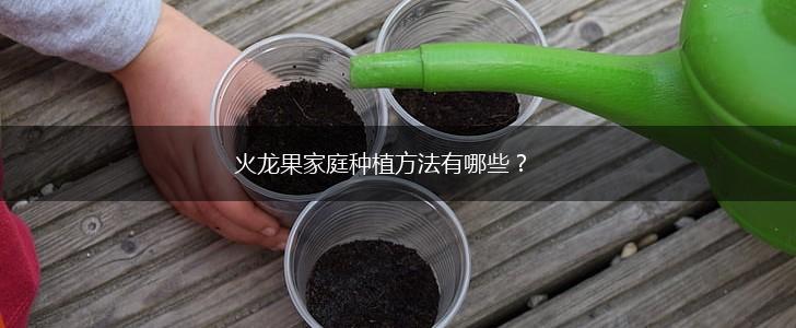 火龙果家庭种植方法有哪些？,第1张