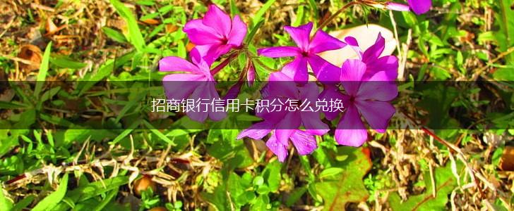 招商银行信用卡积分怎么兑换,第1张