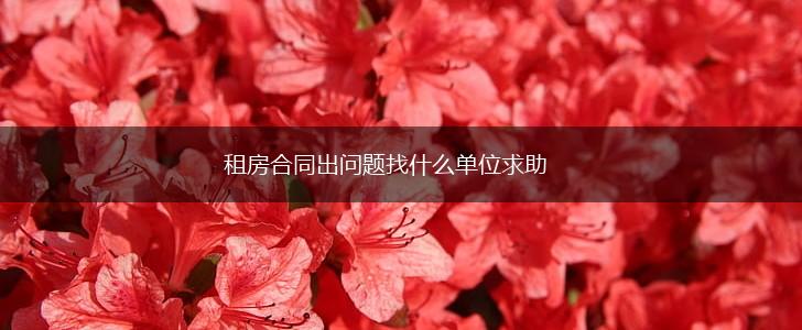 租房合同出问题找什么单位求助,第1张