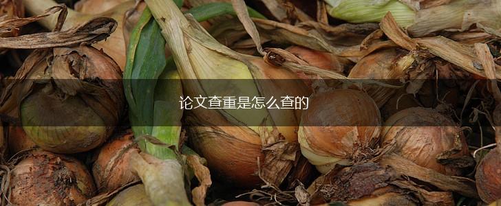 论文查重是怎么查的,第1张