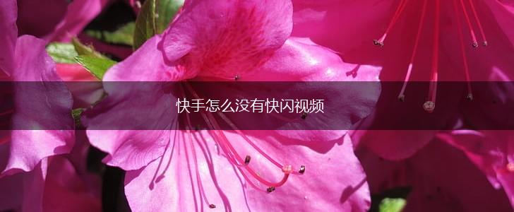 快手怎么没有快闪视频,第1张