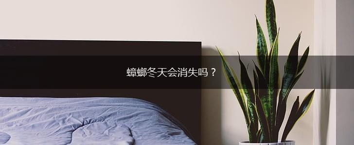 蟑螂冬天会消失吗？,第1张
