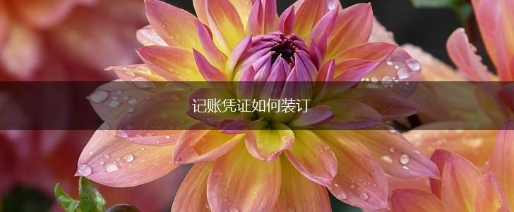 记账凭证如何装订,第1张