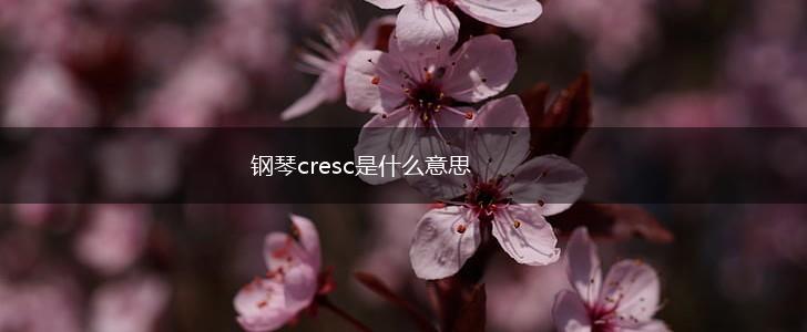 钢琴cresc是什么意思,第1张