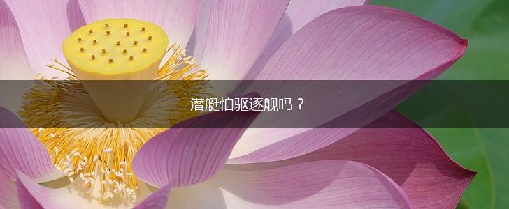 潜艇怕驱逐舰吗？,第1张