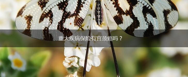 重大疾病保险有宫颈癌吗？,第1张