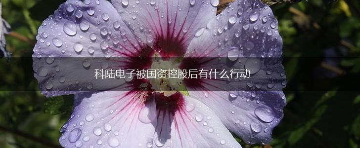 科陆电子被国资控股后有什么行动,第1张