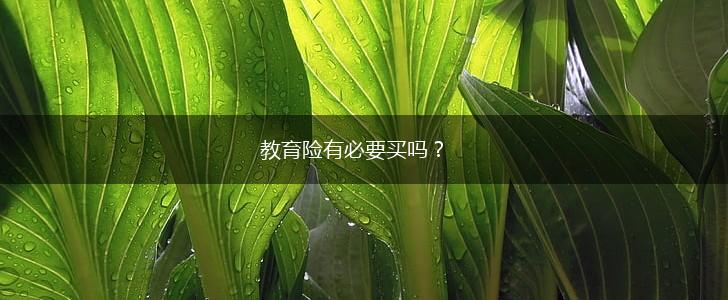 教育险有必要买吗？,第1张