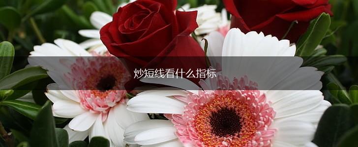 炒短线看什么指标,第1张
