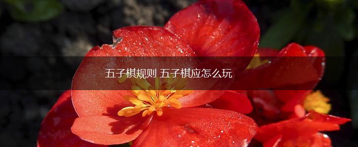 五子棋规则 五子棋应怎么玩,第1张