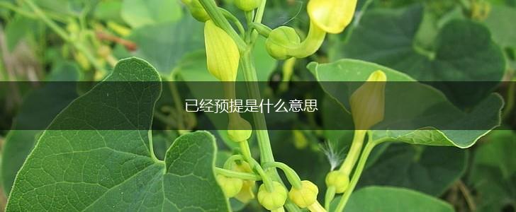 已经预提是什么意思,第1张