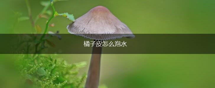 橘子皮怎么泡水,第1张