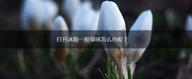 打开冰箱一股臭味怎么办呢？,第1张