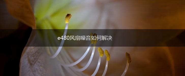 e480风扇噪音如何解决,第1张