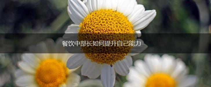 餐饮中部长如何提升自己能力,第1张