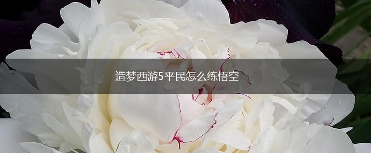 造梦西游5平民怎么练悟空,第1张