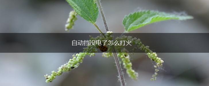 自动挡没电了怎么打火,第1张
