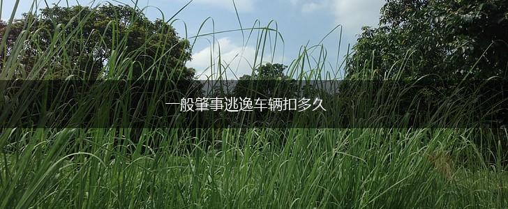 一般肇事逃逸车辆扣多久,第1张