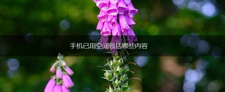 手机已用空间包括哪些内容,第1张